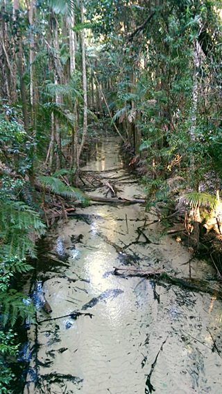 wangoolba creek